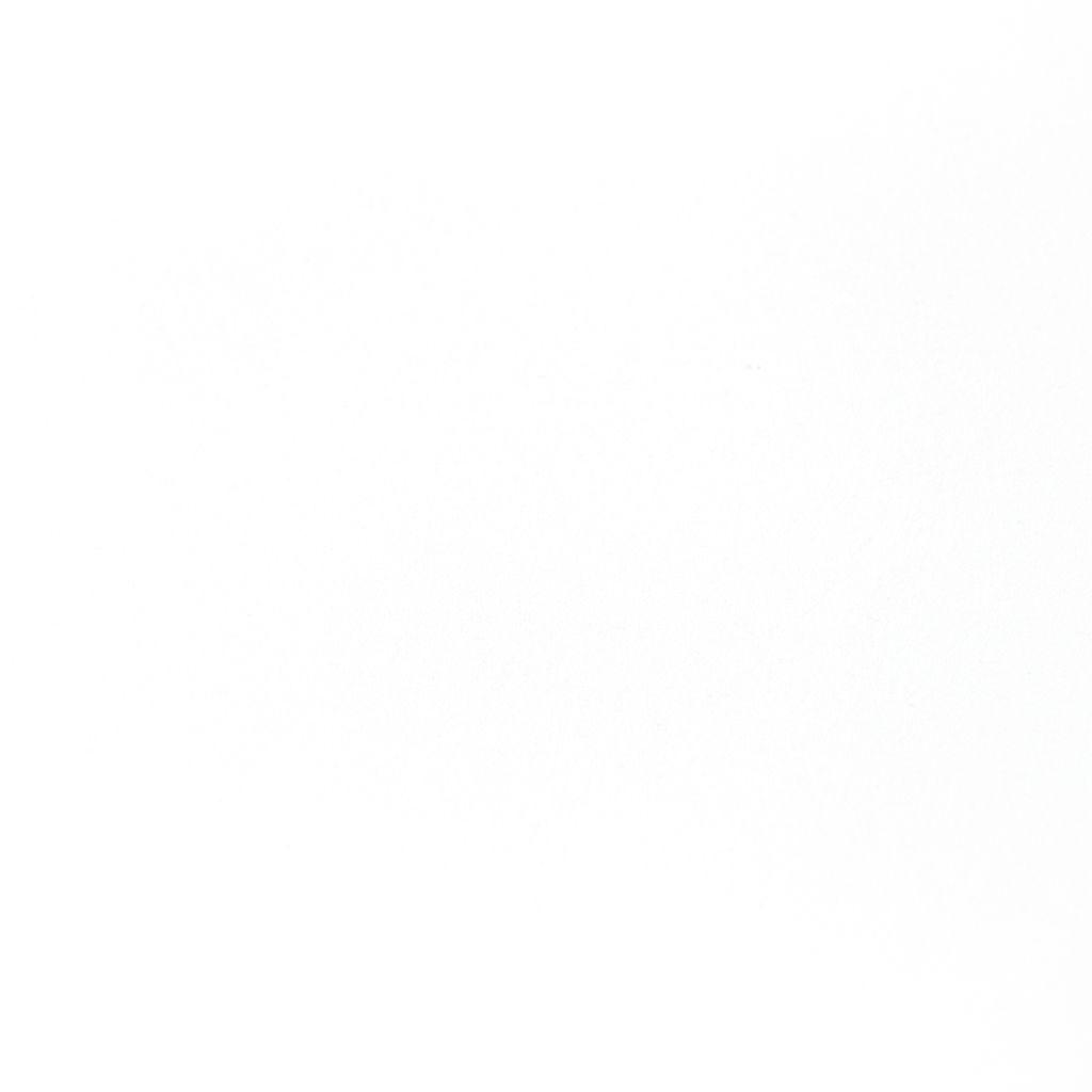 71503.jpg